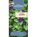 Ipomee pourpre bio - ferme sainte marthe de La Ferme de Sainte Marthe - Graines BIO dans Graines de fleurs en I