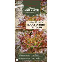 Laitue rouge oreille du diable bio -sainte marth de La Ferme de Sainte Marthe - Graines BIO dans Graines de Salade - Laitue