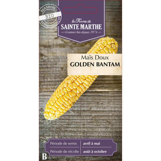 Mais doux golden bantam bio -ferme sainte marthe de La Ferme de Sainte Marthe - Graines BIO dans Graines de Maïs
