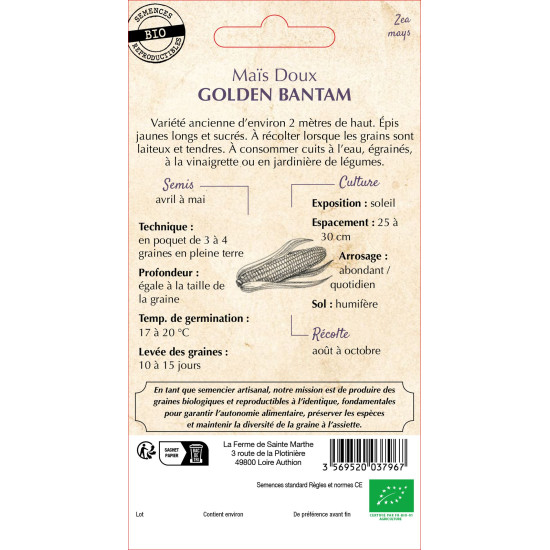 Mais doux golden bantam bio -ferme sainte marthe de La Ferme de Sainte Marthe - Graines BIO dans Graines de Maïs