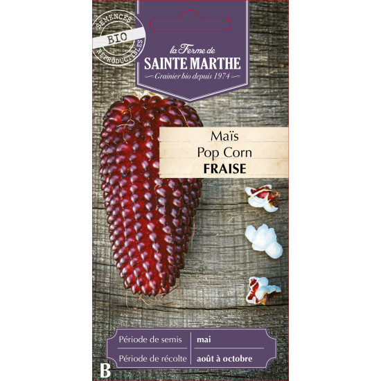 Mais fraise bio - ferme sainte marthe de La Ferme de Sainte Marthe - Graines BIO dans Graines de Maïs