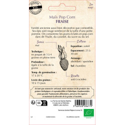 Mais fraise bio - ferme sainte marthe de La Ferme de Sainte Marthe - Graines BIO dans Graines de Maïs
