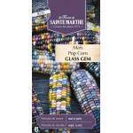 Mais pop corn glass gem bio -ferme sainte marthe de La Ferme de Sainte Marthe - Graines BIO dans Graines de Maïs