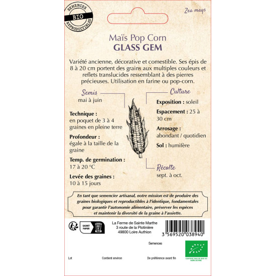 Mais pop corn glass gem bio -ferme sainte marthe de La Ferme de Sainte Marthe - Graines BIO dans Graines de Maïs