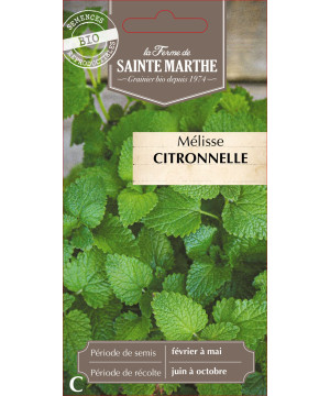 Melisse citronnelle bio - ferme sainte marthe de La Ferme de Sainte Marthe - Graines BIO dans Graines d'autres aromatiques