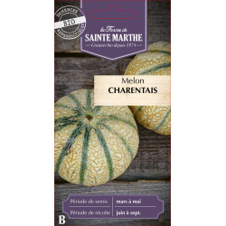 Melon charentais bio - ferme sainte marthe de La Ferme de Sainte Marthe - Graines BIO dans Graines de Melon