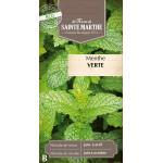 Menthe verte bio - ferme sainte marthe de La Ferme de Sainte Marthe - Graines BIO dans Graines de Menthe