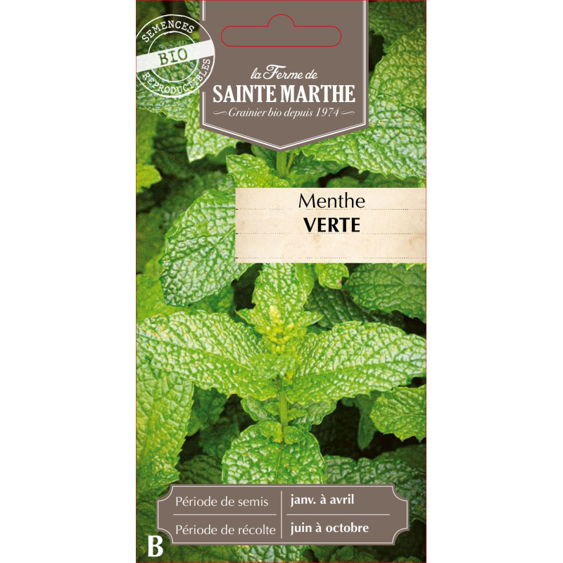 Menthe verte bio - ferme sainte marthe de La Ferme de Sainte Marthe - Graines BIO dans Graines de Menthe