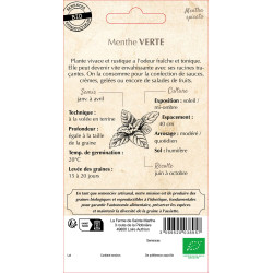 Menthe verte bio - ferme sainte marthe de La Ferme de Sainte Marthe - Graines BIO dans Graines de Menthe
