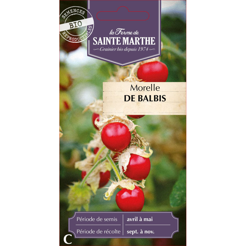 Morelle de balbis bio - ferme sainte marthe de La Ferme de Sainte Marthe - Graines BIO dans Graines de légumes du potager