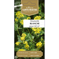 Moutarde blanche bio - ferme sainte marthe de La Ferme de Sainte Marthe - Graines BIO dans Graines d'autres aromatiques