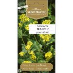 Moutarde blanche bio - ferme sainte marthe de La Ferme de Sainte Marthe - Graines BIO dans Graines d'autres aromatiques