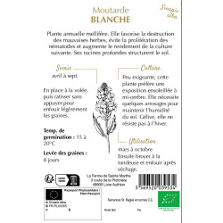 Moutarde blanche bio - ferme sainte marthe de La Ferme de Sainte Marthe - Graines BIO dans Graines d'autres aromatiques