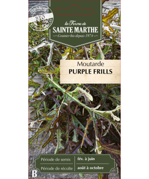 Moutarde purple frills bio - ferme sainte marthe de La Ferme de Sainte Marthe - Graines BIO dans Graines d'autres aromatiques