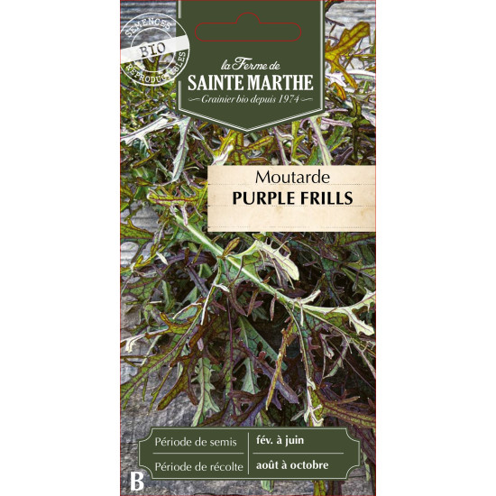Moutarde purple frills bio - ferme sainte marthe de La Ferme de Sainte Marthe - Graines BIO dans Graines d'autres aromatiques