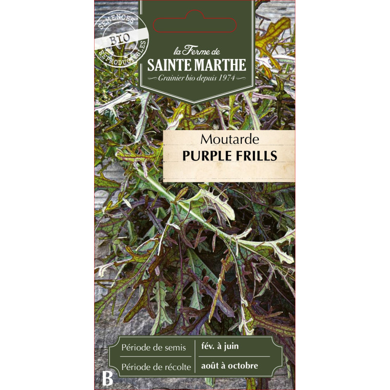 Moutarde purple frills bio - ferme sainte marthe de La Ferme de Sainte Marthe - Graines BIO dans Graines d'autres aromatiques