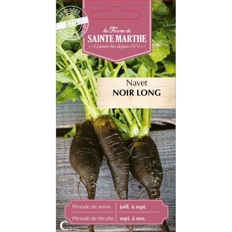 Navet noir long bio - ferme sainte marthe de La Ferme de Sainte Marthe - Graines BIO dans Graines de Navet