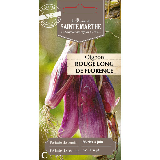 Oignon rouge long de florence bio - sainte marth de La Ferme de Sainte Marthe - Graines BIO dans Oignon - Ail - echalote à semer
