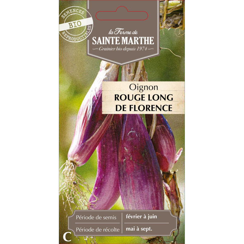 Oignon rouge long de florence bio - sainte marth de La Ferme de Sainte Marthe - Graines BIO dans Oignon - Ail - echalote à semer