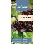 Pavot black peony bio - ferme sainte marthe de La Ferme de Sainte Marthe - Graines BIO dans Graines de fleurs en P