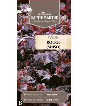 Perilla rouge (shiso) bio - ferme sainte marthe de La Ferme de Sainte Marthe - Graines BIO dans Graines d'autres aromatiques