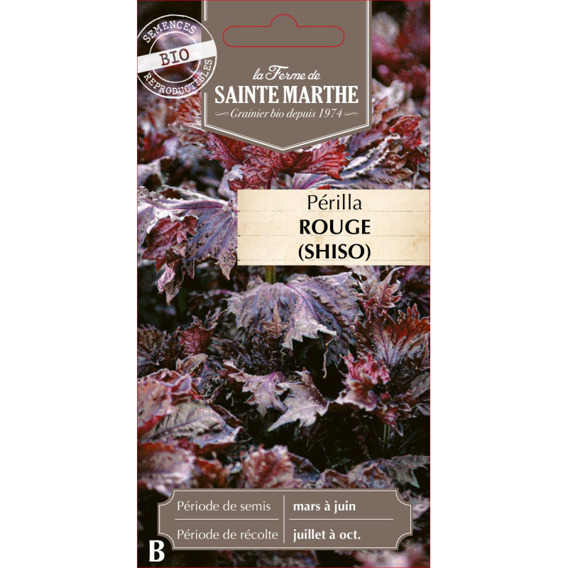 Perilla rouge (shiso) bio - ferme sainte marthe de La Ferme de Sainte Marthe - Graines BIO dans Graines d'autres aromatiques