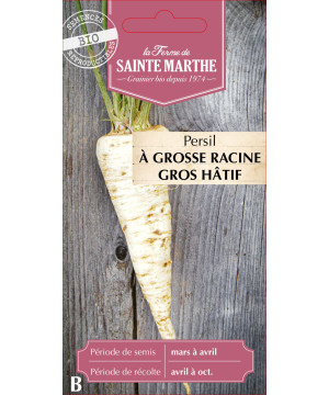 Persil a grosses racines bio -ferme sainte marth de La Ferme de Sainte Marthe - Graines BIO dans Graines de Persil