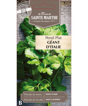 Persil gigante d'italia bio -ferme sainte marthe de La Ferme de Sainte Marthe - Graines BIO dans Graines de Persil