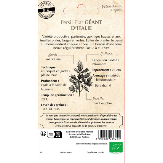 Persil gigante d'italia bio -ferme sainte marthe de La Ferme de Sainte Marthe - Graines BIO dans Graines de Persil