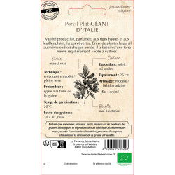 Persil gigante d'italia bio -ferme sainte marthe de La Ferme de Sainte Marthe - Graines BIO dans Graines de Persil