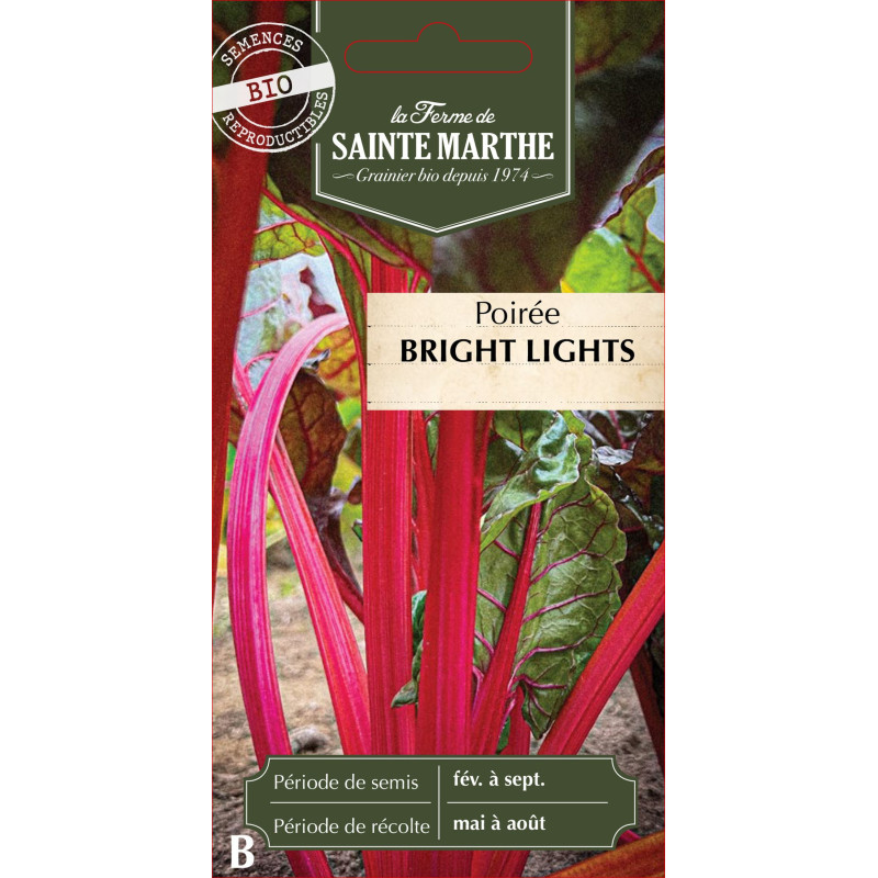 Poiree bright lights bio - ferme sainte marthe de La Ferme de Sainte Marthe - Graines BIO dans Graines de Poiree