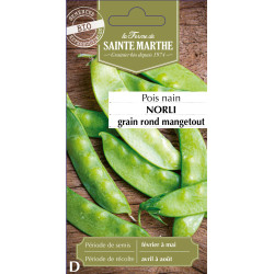 Pois nain mangetout norli bio - sainte marthe de La Ferme de Sainte Marthe - Graines BIO dans Graines de Pois
