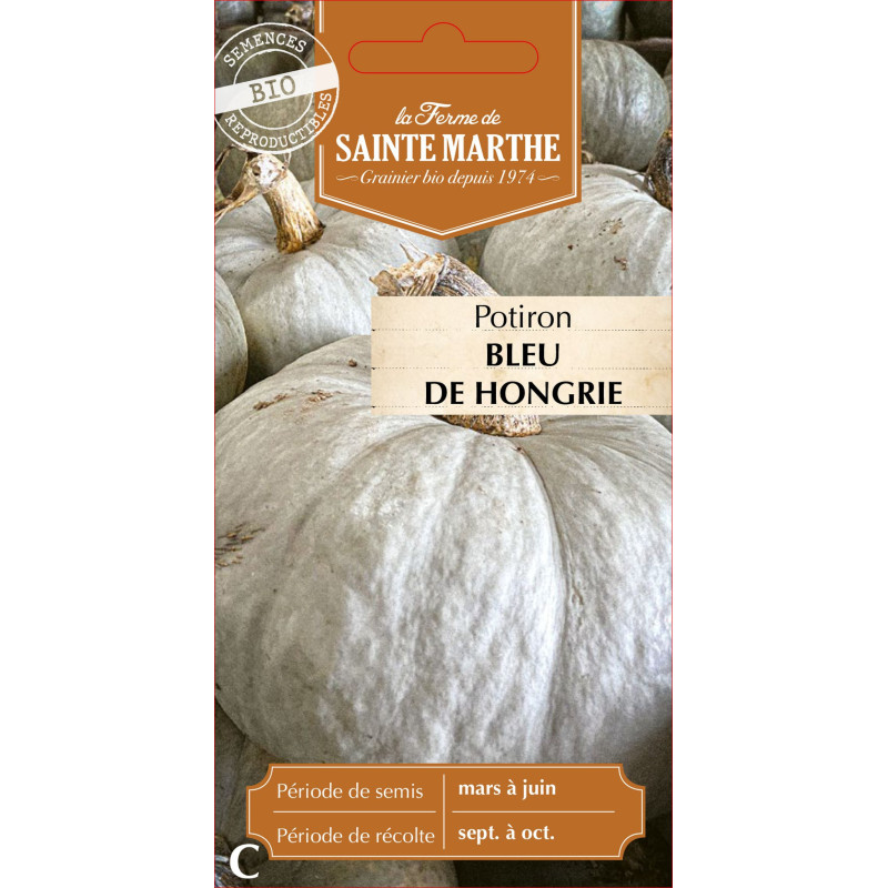 Potiron bleu de hongrie bio -ferme sainte marthe de La Ferme de Sainte Marthe - Graines BIO dans Graines de Potiron - Citrouille