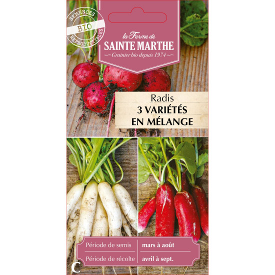 Radis en melange -sainte marthe de La Ferme de Sainte Marthe - Graines BIO dans Graines de Radis