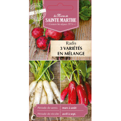 Radis en melange -sainte marthe de La Ferme de Sainte Marthe - Graines BIO dans Graines de Radis