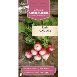 Radis gaudry 2 bio - ferme sainte marthe de La Ferme de Sainte Marthe - Graines BIO dans Graines de Radis