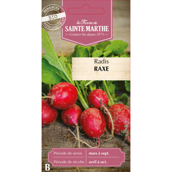 Radis raxe bio - ferme sainte marthe de La Ferme de Sainte Marthe - Graines BIO dans Graines de Radis