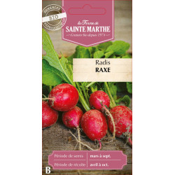 Radis raxe bio - ferme sainte marthe de La Ferme de Sainte Marthe - Graines BIO dans Graines de Radis
