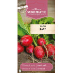 Radis raxe bio - ferme sainte marthe de La Ferme de Sainte Marthe - Graines BIO dans Graines de Radis