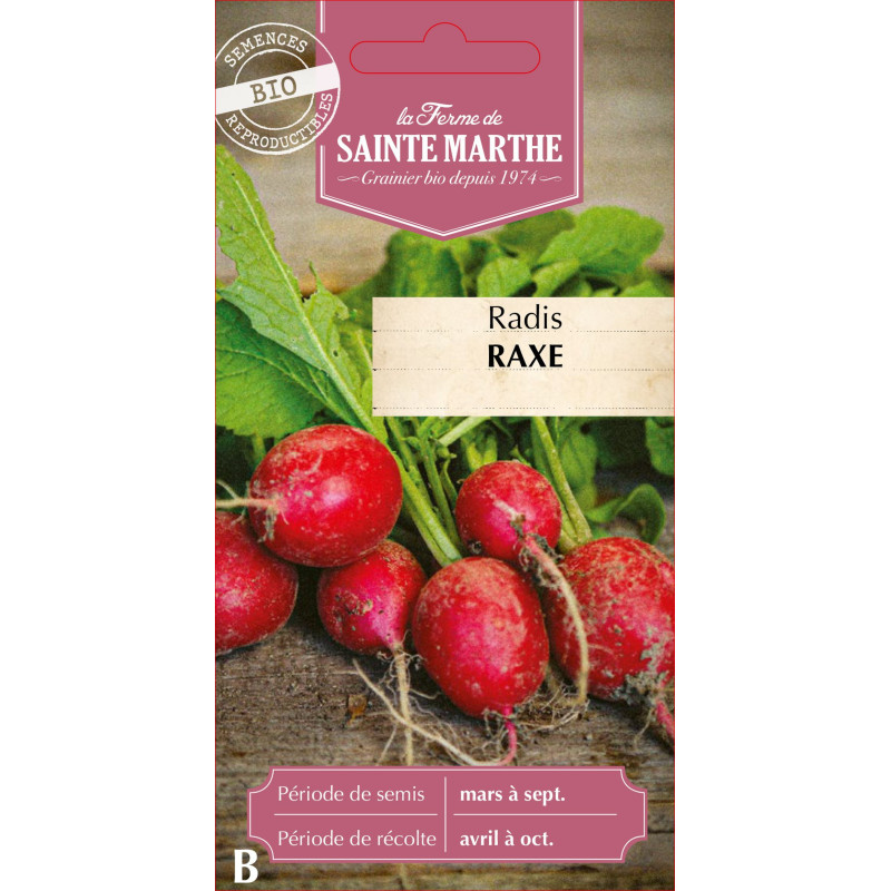 Radis raxe bio - ferme sainte marthe de La Ferme de Sainte Marthe - Graines BIO dans Graines de Radis