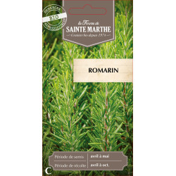 Romarin bio - ferme sainte marthe de La Ferme de Sainte Marthe - Graines BIO dans Graines de Romarin