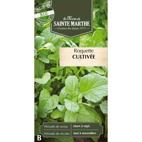 Roquette cultivee bio - ferme sainte marthe de La Ferme de Sainte Marthe - Graines BIO dans Graines de Roquette
