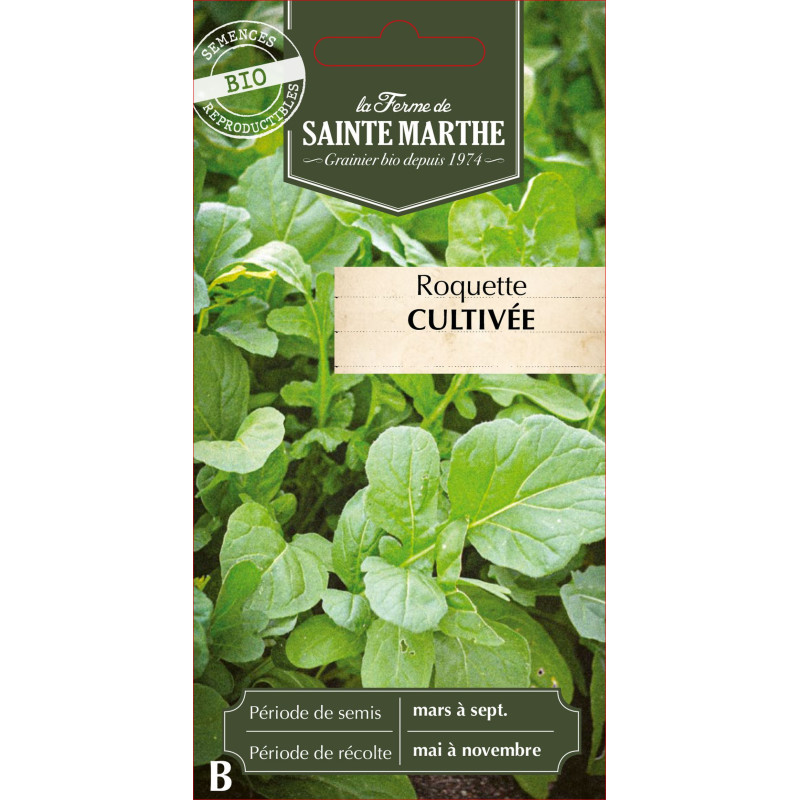 Roquette cultivee bio - ferme sainte marthe de La Ferme de Sainte Marthe - Graines BIO dans Graines de Roquette