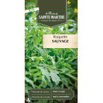 Roquette sauvage bio - ferme sainte marthe de La Ferme de Sainte Marthe - Graines BIO dans Graines de Roquette