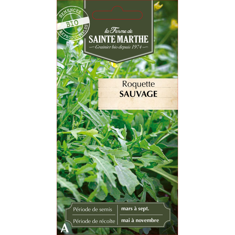 Roquette sauvage bio - ferme sainte marthe de La Ferme de Sainte Marthe - Graines BIO dans Graines de Roquette