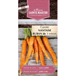 Ruban carotte nantaise ameliore -sainte marthe de La Ferme de Sainte Marthe - Graines BIO dans Graines de Carotte