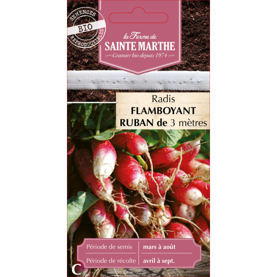 Ruban radis flamboyant race pa bio -sainte marth de La Ferme de Sainte Marthe - Graines BIO dans Graines de Radis