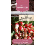 Ruban radis flamboyant race pa bio -sainte marth de La Ferme de Sainte Marthe - Graines BIO dans Graines de Radis