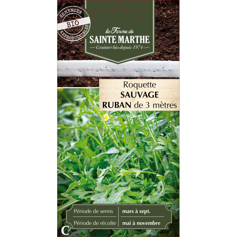 Ruban roquette sauvage bio - ferme sainte marthe de La Ferme de Sainte Marthe - Graines BIO dans Graines de Roquette