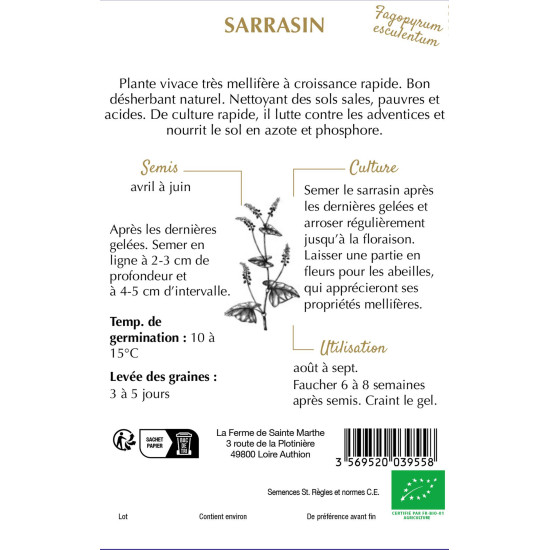 Sarrasin esculentum bio - ferme sainte marthe de La Ferme de Sainte Marthe - Graines BIO dans Graines de Jachere fleurie